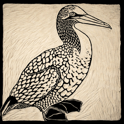 woodcut gannet